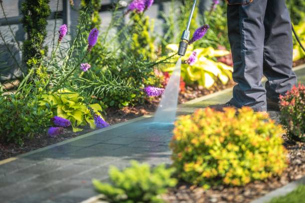 Best Gutter Cleaning  in Viola, NY